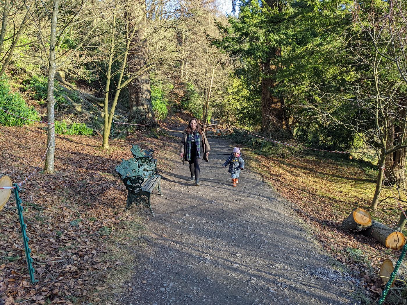 A gravel path winding through woodland and rhododendrons at Cragside near Rothbury, with walkers and a bench in the trees.