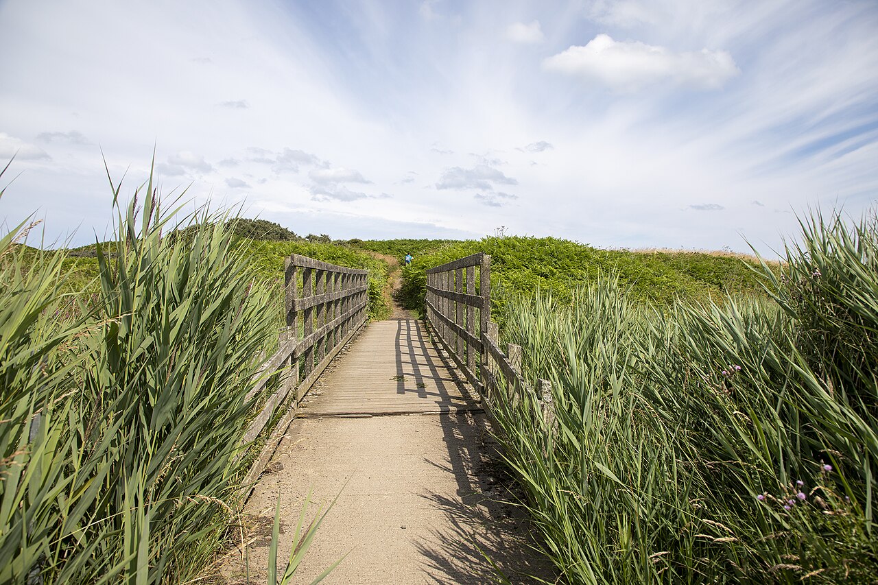 Bridge at Druridge Bay Country Park