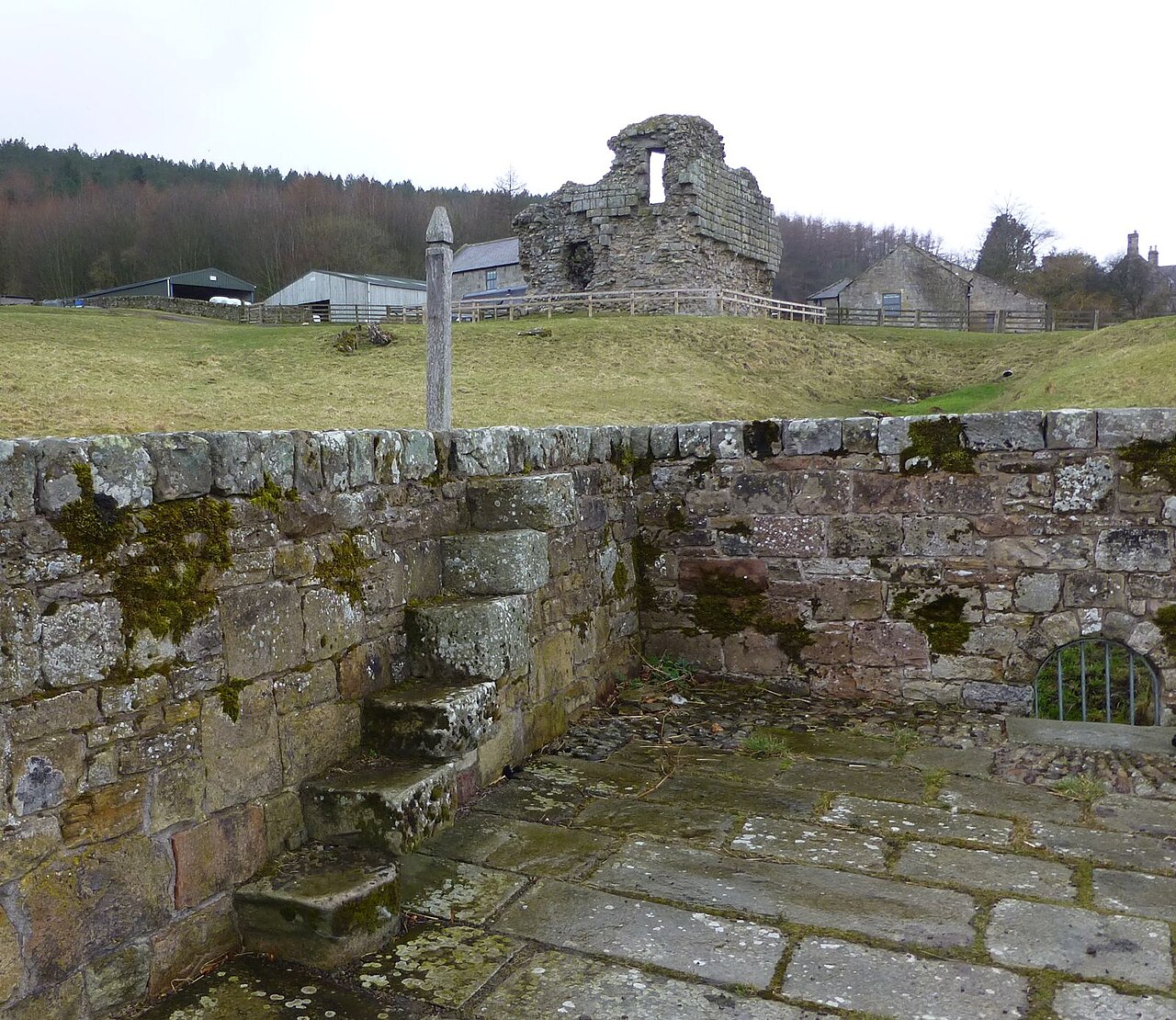 Tosson Tower