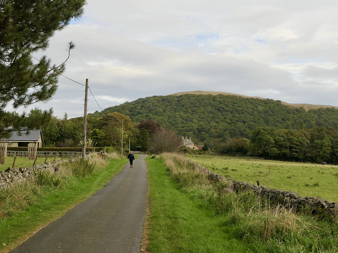 College Valley road, Hethpool