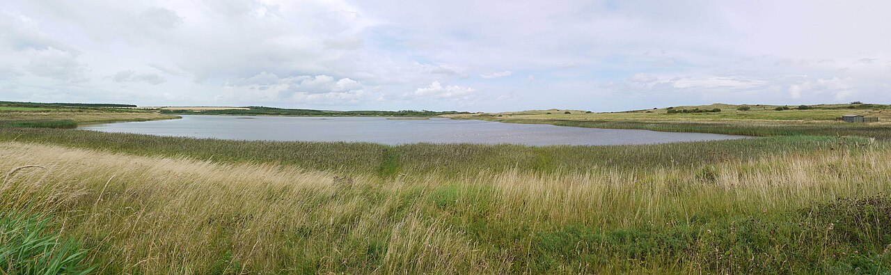 East Chevington Nature Reserve