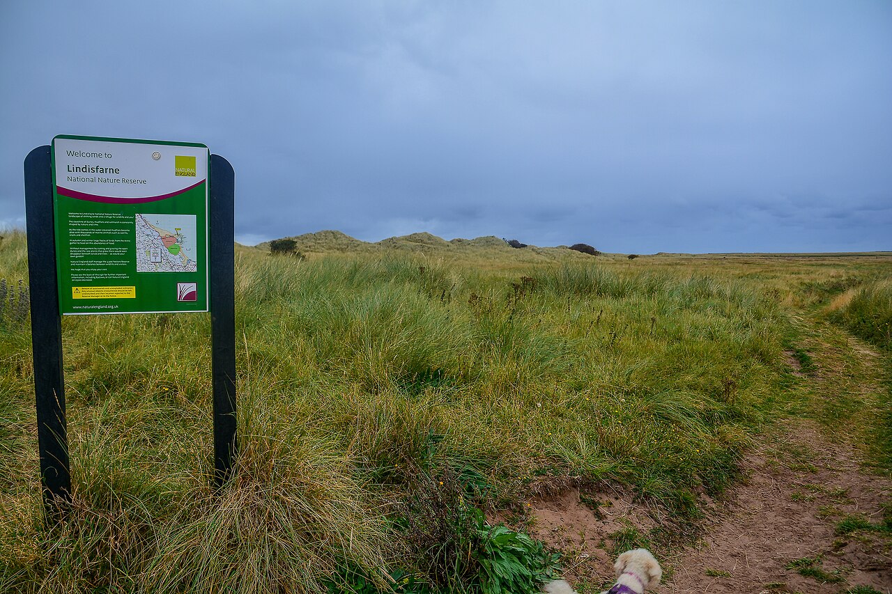 Holy Island, Lindisfarne National Nature Reserve