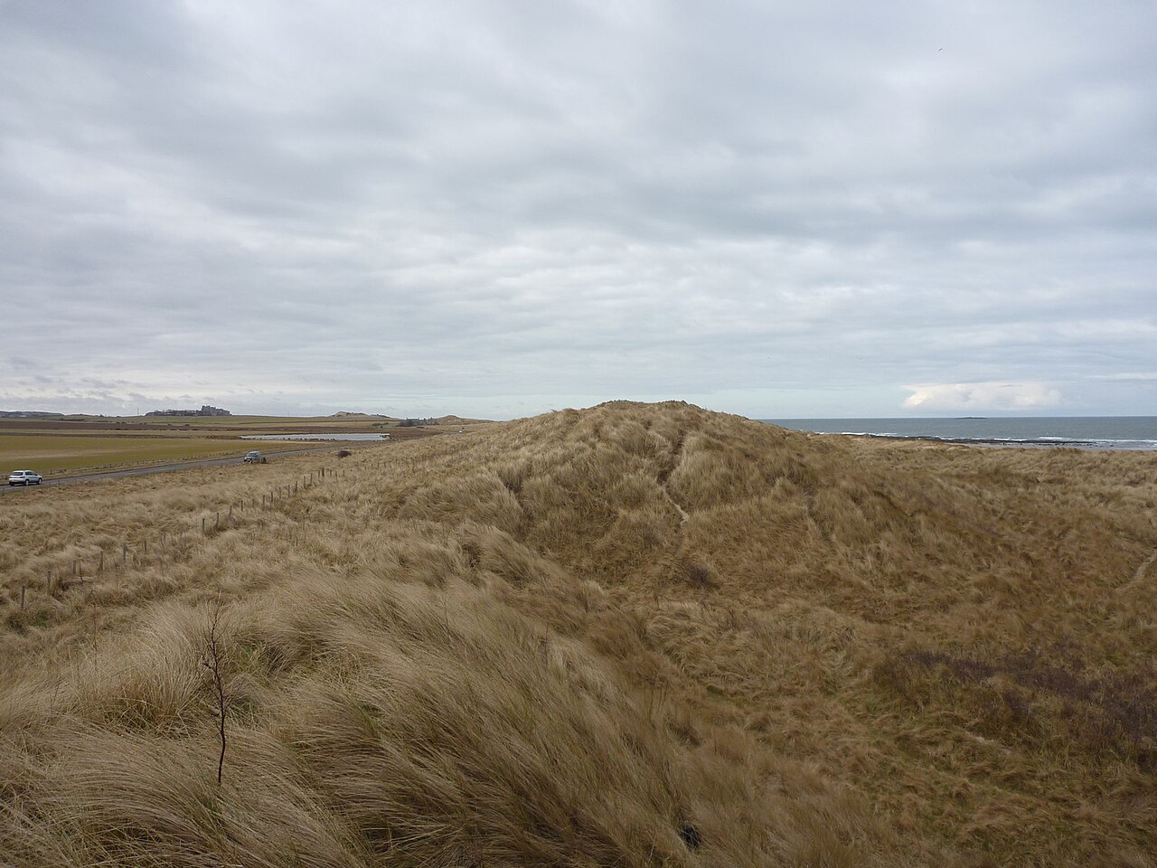 Coastal Northumberland, St Aidan's Dunes, Seahouses (looking NNW)