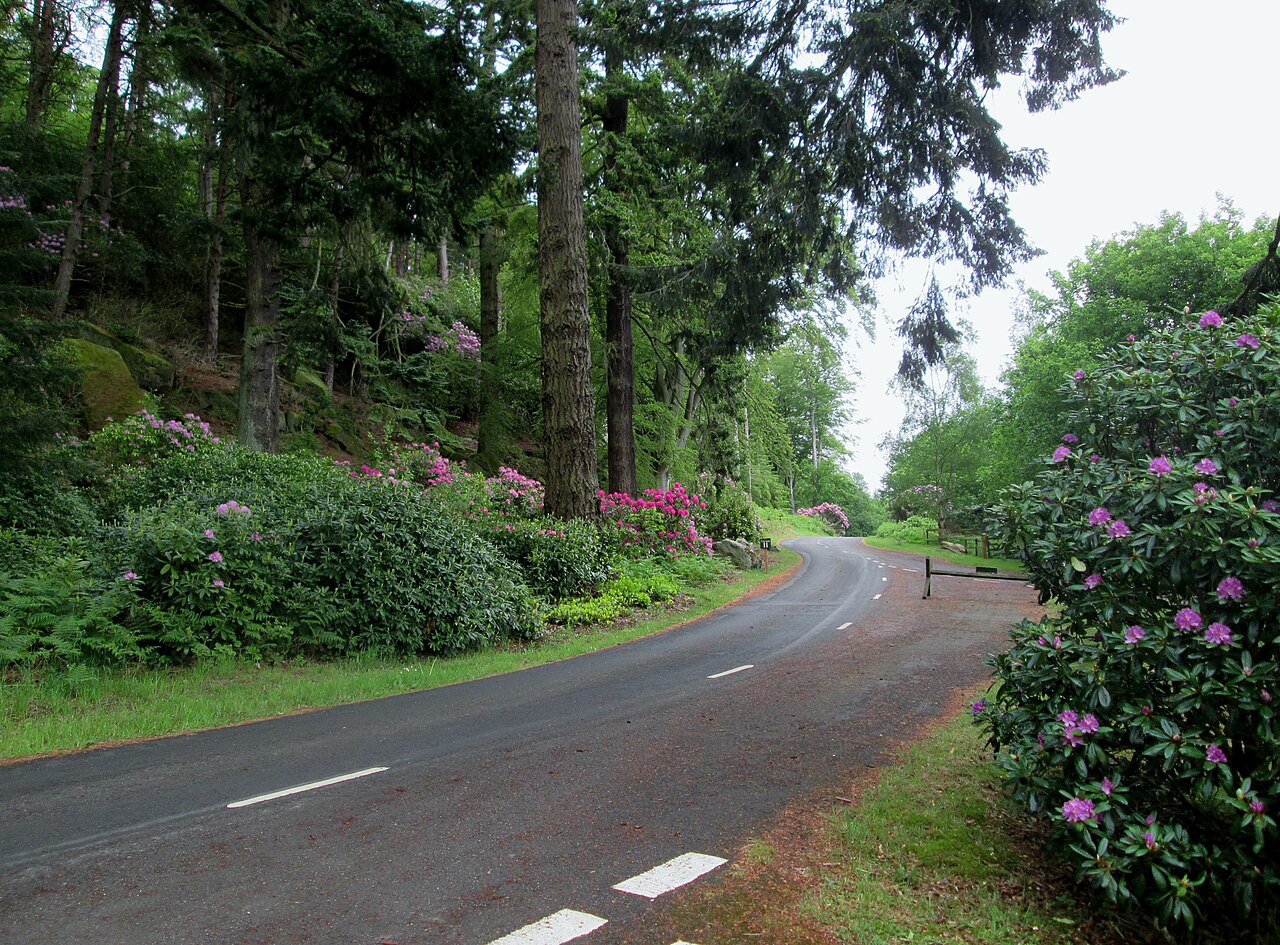 Cragside Carriage Drive leaving Dunkirk c-p