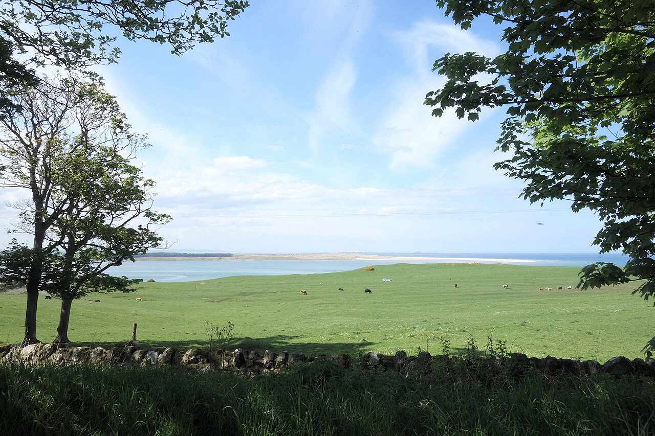 Budle Bay