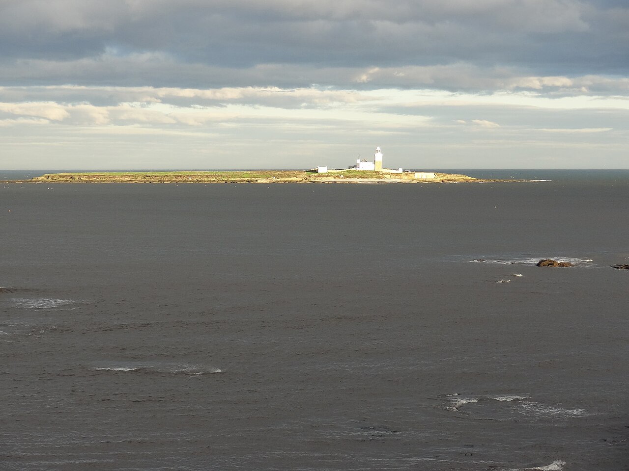 Coquet Island
