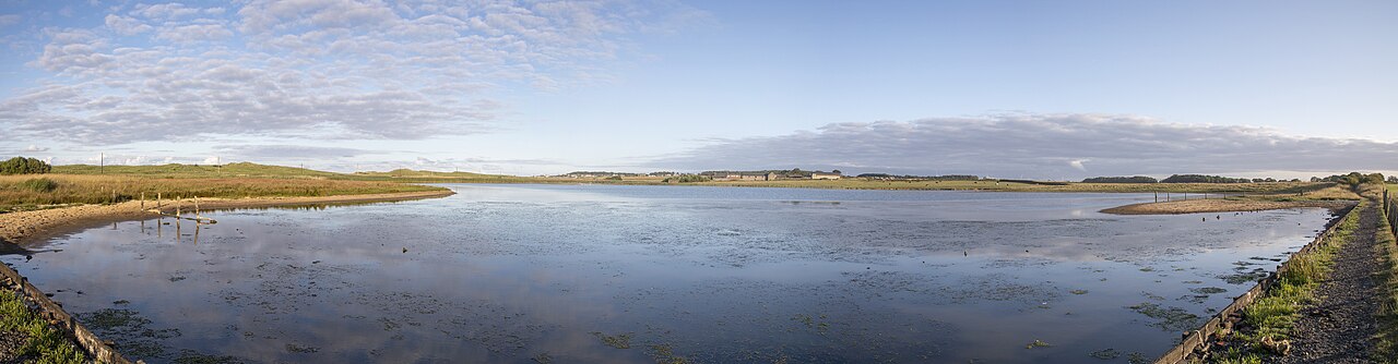 Cresswell Pond panorama