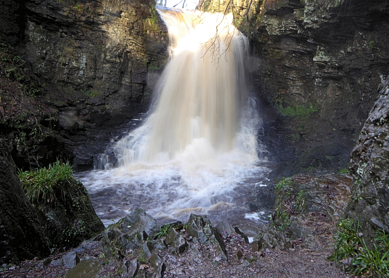 Hareshaw Linn