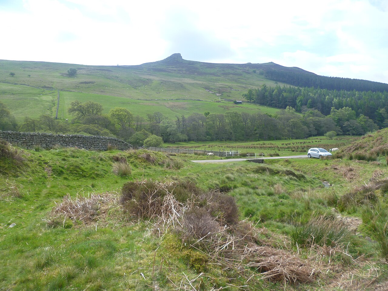 Harthope Valley