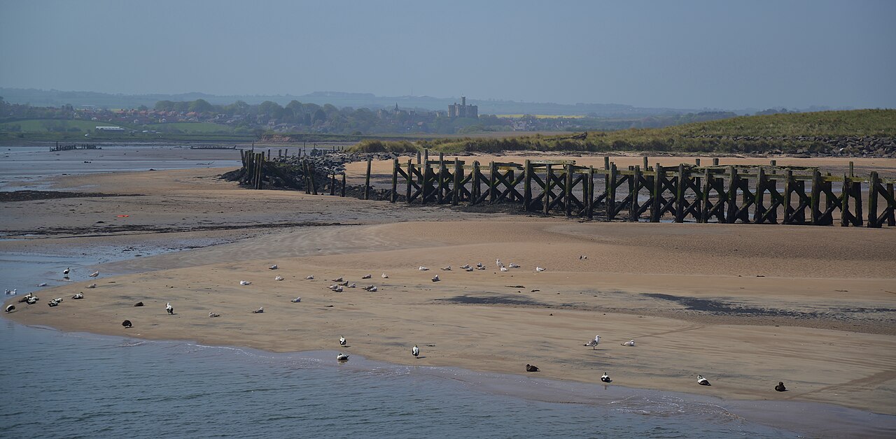 Warkworth Castle and River Coquet Estuary, Amble, Northumberland